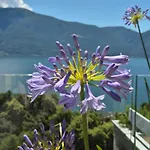 Apartamento Sollevante Mit Pool Und Fantastischer Seesicht *