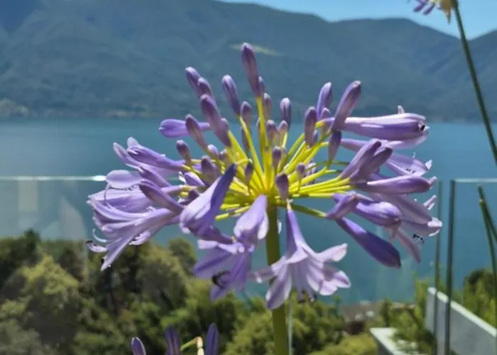 Apartamento Sollevante Mit Pool Und Fantastischem Seesicht *